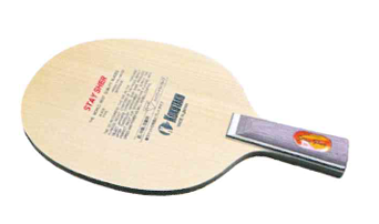 ステイシャー　中国型